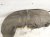 2015 Chrysler 300 Rear Driver Inner Fender Liner 68205935AC Replacement 2015 Chrysler 300 Rear Driver Inner Fender Liner 68205935AC Replacement thumbnail