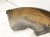 2015 Chrysler 300 Rear Driver Inner Fender Liner 68205935AC Replacement 2015 Chrysler 300 Rear Driver Inner Fender Liner 68205935AC Replacement thumbnail