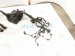 2015 Chrysler 300 Engine Room Harness W/fuse 3.6l Awd 68213782AC Replacement 2015 Chrysler 300 Engine Room Harness W/fuse 3.6l Awd 68213782AC Replacement thumbnail