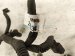 2015 Chrysler 300 Fuel Inj Wiring Harness 3.6l Awd 05148037AJ Replacement 2015 Chrysler 300 Fuel Inj Wiring Harness 3.6l Awd 05148037AJ Replacement thumbnail