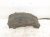 2019 Toyota Highlander Rear Driver Inner Fender Liner 65638 0E040 Replacement 2019 Toyota Highlander Rear Driver Inner Fender Liner 65638 0E040 Replacement thumbnail