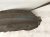 2019 Toyota Highlander Rear Driver Inner Fender Liner 65638 0E040 Replacement 2019 Toyota Highlander Rear Driver Inner Fender Liner 65638 0E040 Replacement thumbnail
