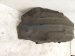 2019 Toyota Highlander Rear Driver Inner Fender Liner 65638 0E040 Replacement 2019 Toyota Highlander Rear Driver Inner Fender Liner 65638 0E040 Replacement thumbnail