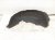 2019 Toyota Highlander Rear Driver Inner Fender Liner 65638 0E040 Replacement 2019 Toyota Highlander Rear Driver Inner Fender Liner 65638 0E040 Replacement thumbnail