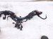 2021 Honda Accord Main Engine Wire Harness 1.5t At 32110 6A0 A71 Replacement 2021 Honda Accord Main Engine Wire Harness 1.5t At 32110 6A0 A71 Replacement thumbnail