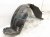 2001 Lexus Ls430 Front Passenger Inner Fender Liner 53805 50020 Replacement 2001 Lexus Ls430 Front Passenger Inner Fender Liner 53805 50020 Replacement thumbnail
