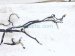 2021 Honda Accord Dash Instrument Wire Harness Sport 32117 TVA A50 Replacement 2021 Honda Accord Dash Instrument Wire Harness Sport 32117 TVA A50 Replacement thumbnail