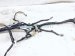2021 Honda Accord Dash Instrument Wire Harness Sport 32117 TVA A50 Replacement 2021 Honda Accord Dash Instrument Wire Harness Sport 32117 TVA A50 Replacement thumbnail