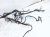 2021 Honda Accord Dash Instrument Wire Harness Sport 32117 TVA A50 Replacement 2021 Honda Accord Dash Instrument Wire Harness Sport 32117 TVA A50 Replacement thumbnail