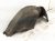 2021 Honda Accord Rear Passenger Inner Fender Liner 74541 TVA A50 Replacement 2021 Honda Accord Rear Passenger Inner Fender Liner 74541 TVA A50 Replacement thumbnail