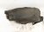 2021 Honda Accord Rear Passenger Inner Fender Liner 74541 TVA A50 Replacement 2021 Honda Accord Rear Passenger Inner Fender Liner 74541 TVA A50 Replacement thumbnail