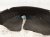 2021 Honda Accord Rear Passenger Inner Fender Liner 74541 TVA A50 Replacement 2021 Honda Accord Rear Passenger Inner Fender Liner 74541 TVA A50 Replacement thumbnail