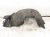 2021 Honda Accord Front Passenger Inner Fender Liner 74100 TVA A00 Replacement 2021 Honda Accord Front Passenger Inner Fender Liner 74100 TVA A00 Replacement thumbnail