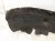 2023 Honda Pilot Rear Passenger Inner Fender Liner 74551 T90 A00 Replacement 2023 Honda Pilot Rear Passenger Inner Fender Liner 74551 T90 A00 Replacement thumbnail