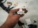 2023 Honda Pilot Engine Room Harness W/fuse 3.5l Fwd 3220A T91 A11 Replacement 2023 Honda Pilot Engine Room Harness W/fuse 3.5l Fwd 3220A T91 A11 Replacement thumbnail