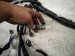 2023 Honda Pilot Engine Room Harness W/fuse 3.5l Fwd 3220A T91 A11 Replacement 2023 Honda Pilot Engine Room Harness W/fuse 3.5l Fwd 3220A T91 A11 Replacement thumbnail