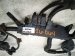 2023 Honda Pilot Main Engine Wire Harness Sport Fwd 32110 6FB A50 Replacement 2023 Honda Pilot Main Engine Wire Harness Sport Fwd 32110 6FB A50 Replacement thumbnail