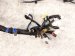 2023 Subaru Ascent Engine Room Harness W/fuse 2.4l Awd 81402XC20A Replacement 2023 Subaru Ascent Engine Room Harness W/fuse 2.4l Awd 81402XC20A Replacement thumbnail