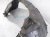 2019 Lexus Es300h Front Driver Inner Fender Liner 65638 33120 Replacement 2019 Lexus Es300h Front Driver Inner Fender Liner 65638 33120 Replacement thumbnail