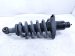 2019 Honda Pilot Rear Passenger Strut Absorber + Spring 52611 TG7 A01 Replacement 2019 Honda Pilot Rear Passenger Strut Absorber + Spring 52611 TG7 A01 Replacement thumbnail