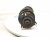 2022 Honda Odyssey Front Driver Strut Absorber + Spring 51621 THR A02 Replacement 2022 Honda Odyssey Front Driver Strut Absorber + Spring 51621 THR A02 Replacement thumbnail