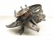 2022 Honda Odyssey Axle Stub Rear Driver Spindle Knuckle Hub 52215 THR A01 Replacement 2022 Honda Odyssey Axle Stub Rear Driver Spindle Knuckle Hub 52215 THR A01 Replacement thumbnail