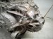 2022 Honda Odyssey Automatic Transmission = 64k Mi 06200 5MX A21RM Replacement 2022 Honda Odyssey Automatic Transmission = 64k Mi 06200 5MX A21RM Replacement thumbnail