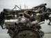2022 Honda Odyssey Long Block Engine / Motor = 64k Mi 10002 5MR A10 Replacement 2022 Honda Odyssey Long Block Engine / Motor = 64k Mi 10002 5MR A10 Replacement thumbnail