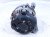 2025 Subaru Crosstrek Alternator / Generator 23700AB200 Replacement 2025 Subaru Crosstrek Alternator / Generator 23700AB200 Replacement thumbnail