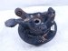 2025 Subaru Crosstrek Axle Stub Rear Driver Spindle Knuckle Hub 28411FN030 Replacement 2025 Subaru Crosstrek Axle Stub Rear Driver Spindle Knuckle Hub 28411FN030 Replacement thumbnail