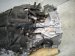 2025 Subaru Crosstrek Automatic Transmission = 3k Mi 31000AL090 Replacement 2025 Subaru Crosstrek Automatic Transmission = 3k Mi 31000AL090 Replacement thumbnail