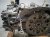 2025 Subaru Crosstrek Long Block Engine / Motor = 3k Mi 10100CF880 Replacement 2025 Subaru Crosstrek Long Block Engine / Motor = 3k Mi 10100CF880 Replacement thumbnail