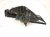 2021 Lexus Is300 Air Cleaner Intake Box 53285 53090 Replacement 2021 Lexus Is300 Air Cleaner Intake Box 53285 53090 Replacement thumbnail