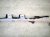 2021 Lexus Is300 Passenger Roof Curtain Airbag 62170 53070 Replacement 2021 Lexus Is300 Passenger Roof Curtain Airbag 62170 53070 Replacement thumbnail