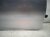 2021 Lexus Is300 Front Passenger Door Silver No Mirror/trim 68101 53170 Replacement 2021 Lexus Is300 Front Passenger Door Silver No Mirror/trim 68101 53170 Replacement thumbnail