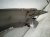 2021 Lexus Is300 Front Driver Fender Silver 53802 53210 Replacement 2021 Lexus Is300 Front Driver Fender Silver 53802 53210 Replacement thumbnail