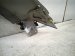 2021 Lexus Is300 Front Driver Fender Silver 53802 53210 Replacement 2021 Lexus Is300 Front Driver Fender Silver 53802 53210 Replacement thumbnail
