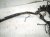 2008 Lexus Rx400h Engine Room Harness W/fuse 3.3l Hyb 82111 48D01 Replacement 2008 Lexus Rx400h Engine Room Harness W/fuse 3.3l Hyb 82111 48D01 Replacement thumbnail