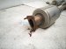 2019 Acura RDX Rear Dual Exhaust Muffler 2.0t Awd 18307 TJB A11 Replacement 2019 Acura RDX Rear Dual Exhaust Muffler 2.0t Awd 18307 TJB A11 Replacement thumbnail