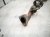 2019 Honda Insight Rear Exhaust Muffler 1.5l Fwd 18307 TXM A02 Replacement 2019 Honda Insight Rear Exhaust Muffler 1.5l Fwd 18307 TXM A02 Replacement thumbnail