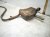 2019 Honda Insight Rear Exhaust Muffler 1.5l Fwd 18307 TXM A02 Replacement 2019 Honda Insight Rear Exhaust Muffler 1.5l Fwd 18307 TXM A02 Replacement thumbnail