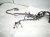 2016 Lexus Rc200t Engine Room Wire Harness F sport 82111 24G40 Replacement 2016 Lexus Rc200t Engine Room Wire Harness F sport 82111 24G40 Replacement thumbnail