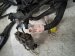 2016 Lexus Rc200t Engine Room Wire Harness F sport 82111 24G40 Replacement 2016 Lexus Rc200t Engine Room Wire Harness F sport 82111 24G40 Replacement thumbnail