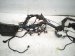 2016 Lexus Rc200t Engine Room Wire Harness F sport 82111 24G40 Replacement 2016 Lexus Rc200t Engine Room Wire Harness F sport 82111 24G40 Replacement thumbnail