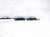 2024 Honda Accord Driver Roof Curtain Airbag 78875 30A A90 Replacement 2024 Honda Accord Driver Roof Curtain Airbag 78875 30A A90 Replacement thumbnail