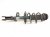 2025 Nissan Kicks Front Passenger Strut Absorber + Spring 54302 7LF0A Replacement 2025 Nissan Kicks Front Passenger Strut Absorber + Spring 54302 7LF0A Replacement thumbnail