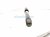 2025 Nissan Kicks Strut / Spring / Rear Passenger Shock Absorber 56210 7LF0A Replacement 2025 Nissan Kicks Strut / Spring / Rear Passenger Shock Absorber 56210 7LF0A Replacement thumbnail