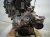2025 Nissan Kicks Long Block Engine / Motor = 48k Mi 10102 7LG0A Replacement 2025 Nissan Kicks Long Block Engine / Motor = 48k Mi 10102 7LG0A Replacement thumbnail