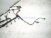 2022 Honda CR V Main Engine Harness 32110 5RD A00 Replacement 2022 Honda CR V Main Engine Harness 32110 5RD A00 Replacement thumbnail