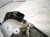 2026 Toyota Camry And / Gear Box Power Steering Rack & Pinion 44250 06490 Replacement 2026 Toyota Camry And / Gear Box Power Steering Rack & Pinion 44250 06490 Replacement thumbnail